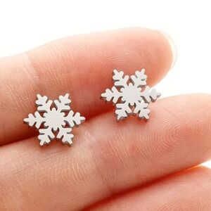 Classic Snowflake Silver Toned Stud Earrings